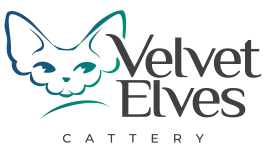 Питомник кошек девон рекс Питомник кошек девон рекс в Москве