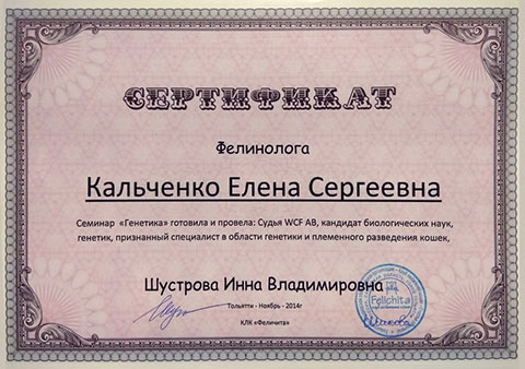 Сертификат фелинолога Сертификат Кальченко Елены Сергеевны